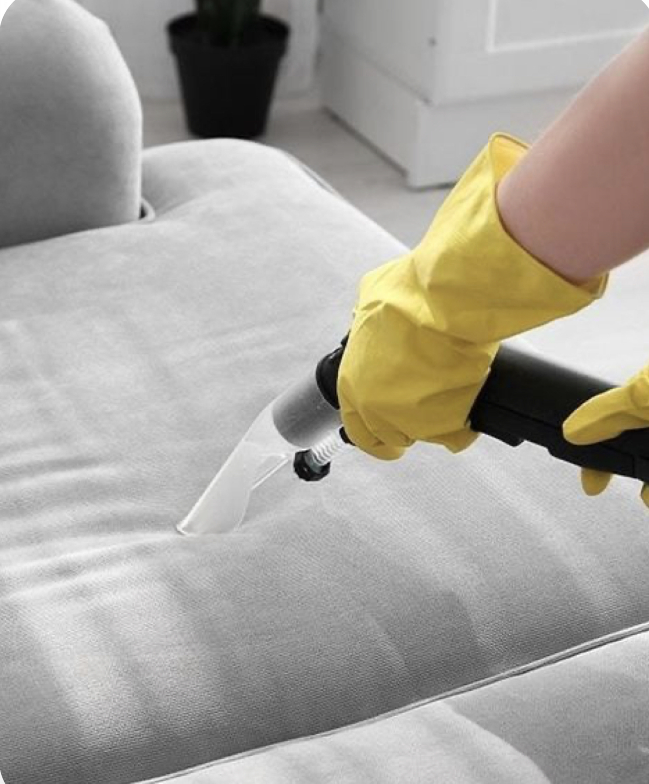 Nettoyage de canapé et tapis par TL SUD Clean