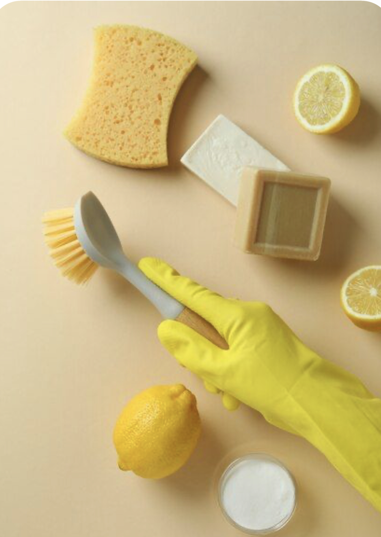 Service de ménage par TL SUD Clean