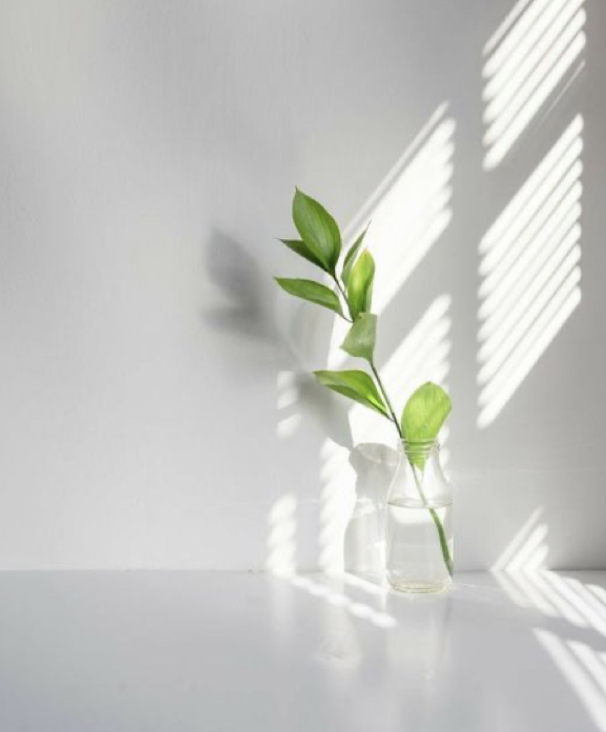 Remise à neuf après travaux par TL SUD Clean